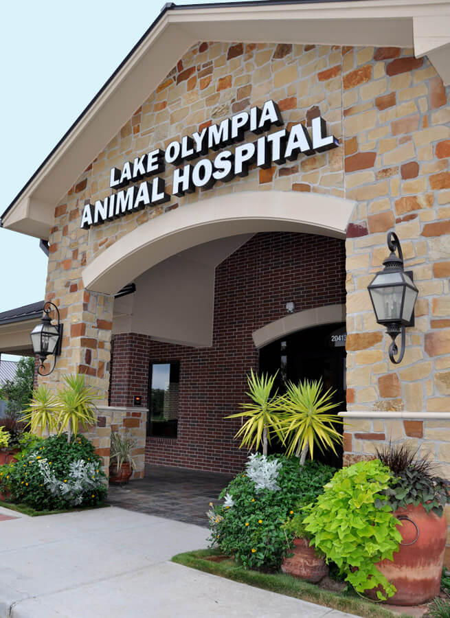 Front entrance of Lake Olympia Animal Hospital