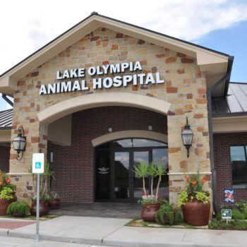 Outside Entrance of Lake Olympia Animal Hospital