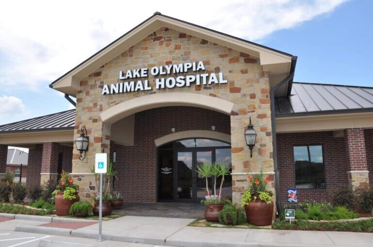 Missouri City Veterinarian - Lake Olympia Animal Hospital